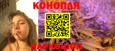 индика Тулун