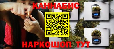 индика Тулун